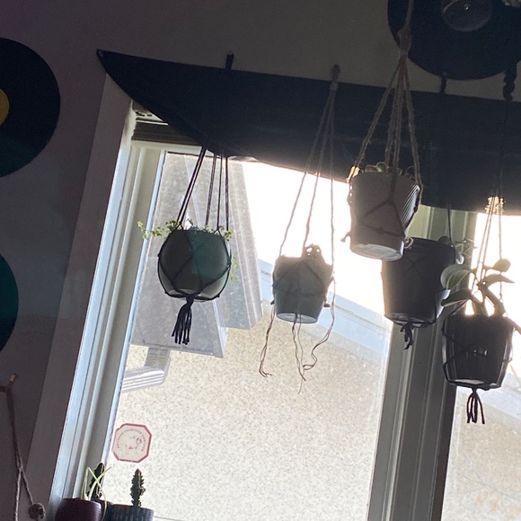 Hanging plant holders - Picture 2 of 2